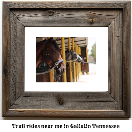 trail rides near me in Gallatin, Tennessee